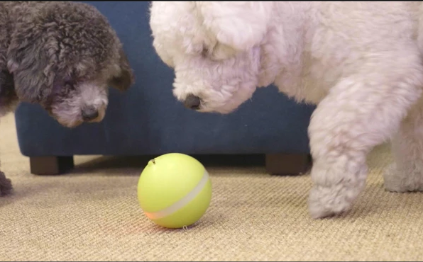 Motion Ball Smart Pet Toy