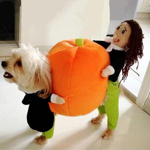 (50% OFF &BUY 2+ TO GET 15-25% OFF ) Dog Pumpkin Halloween Costume